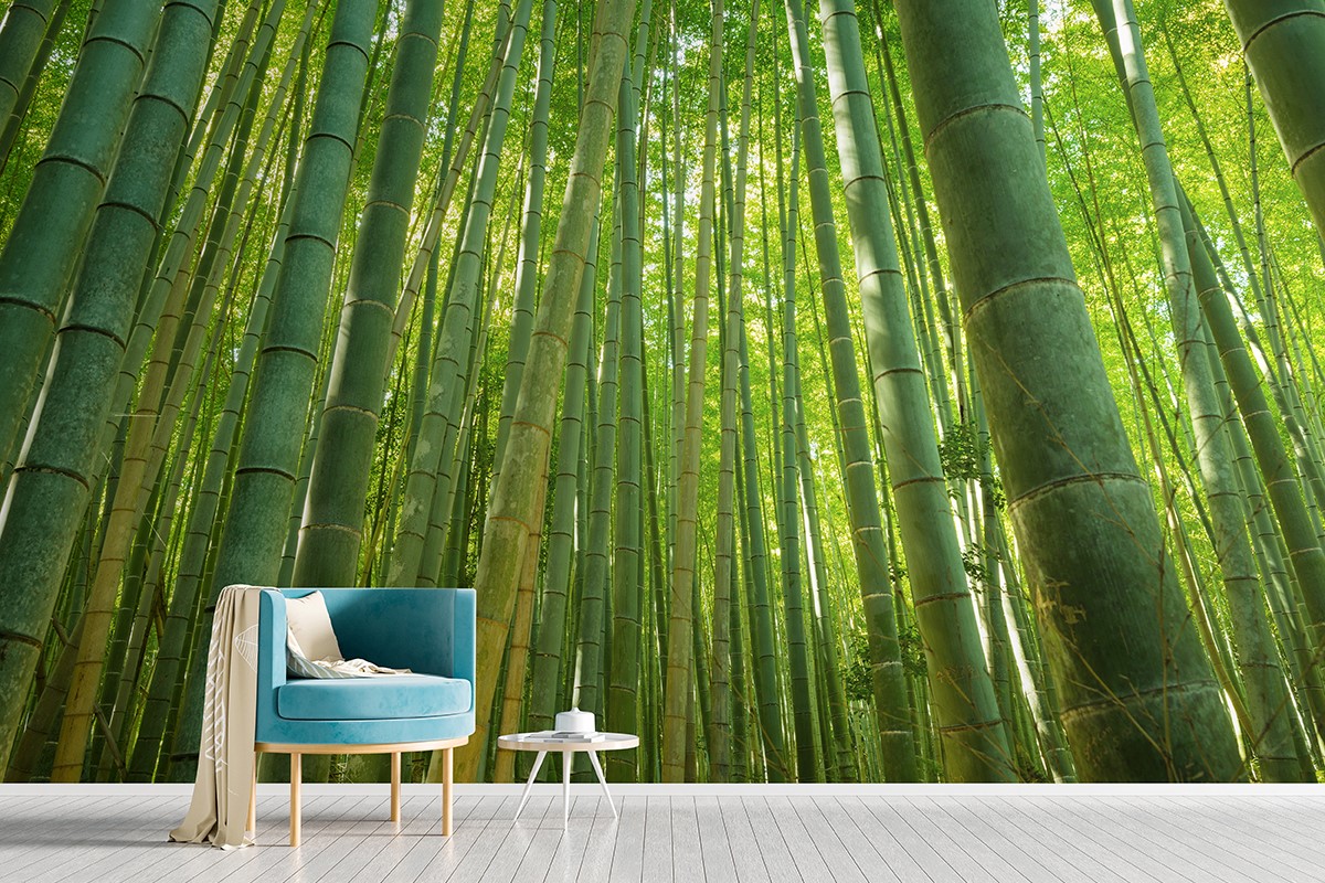 Bamboo Mural Wallpaper Malaysia