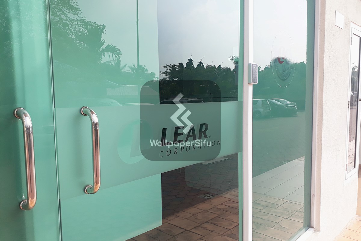 LEAR Window Tint