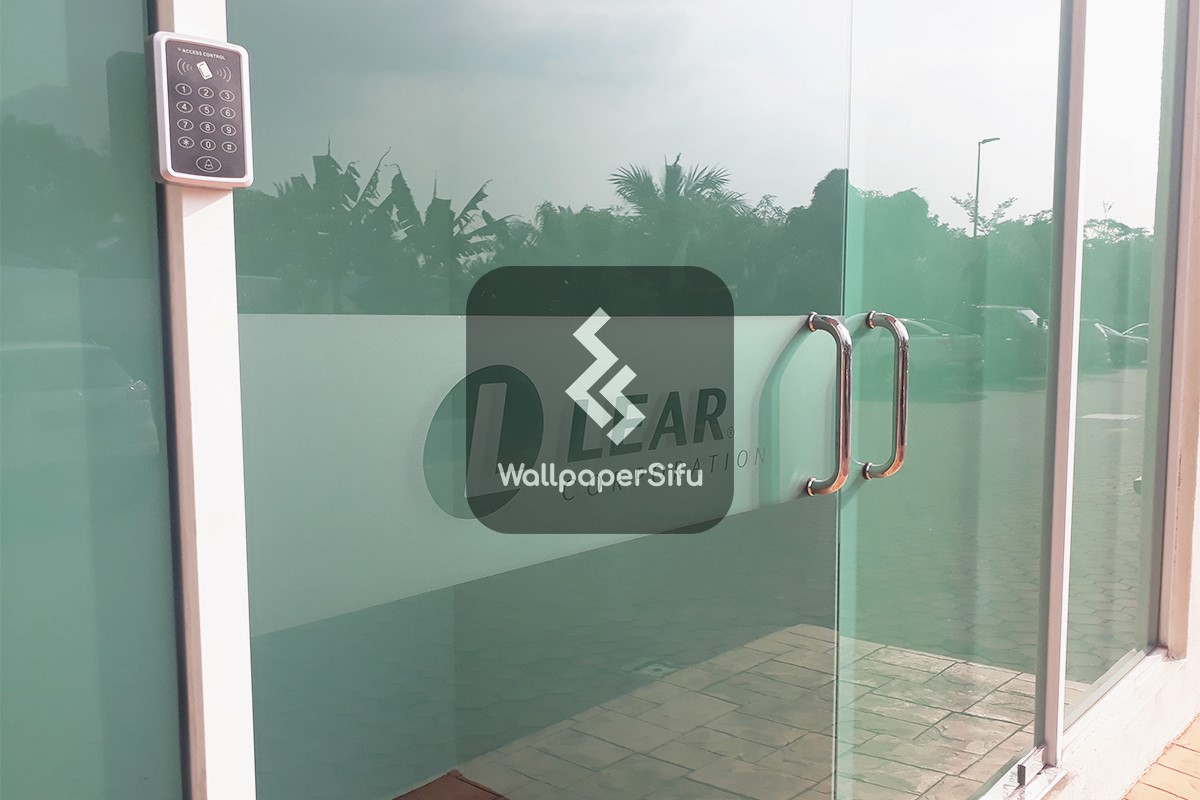 LEAR Window Tint