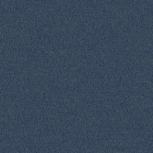 PD2511-8