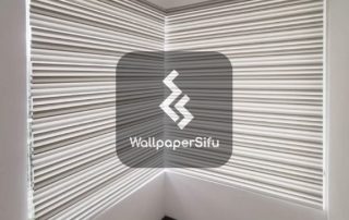 Zebra Blinds