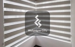 Zebra Blinds