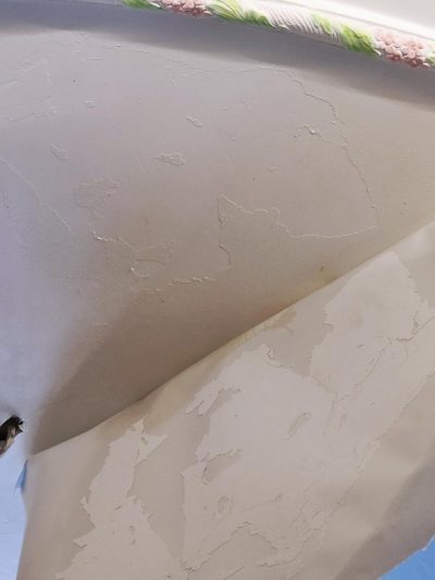 paint detached