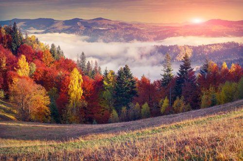 SMP-Scenery-030