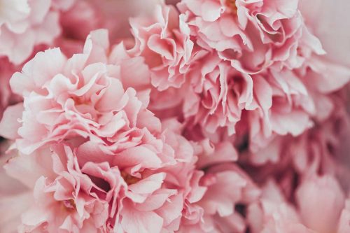 SMP-Floral-107