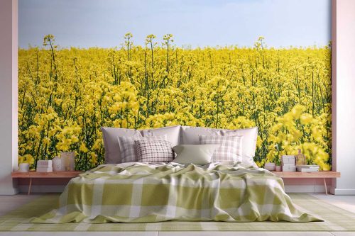 SMP-Floral-117 photo