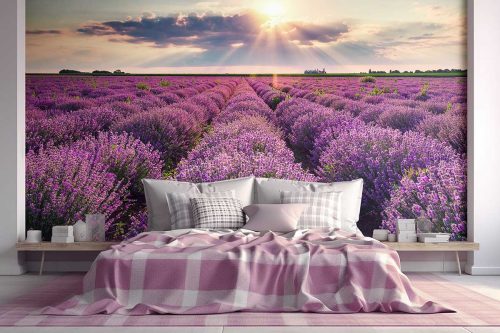 SMP-Floral-120 photo