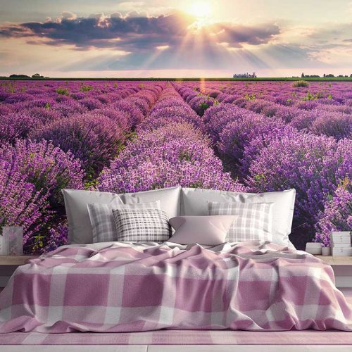 SMP-Floral-120 photo