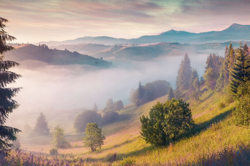 SMP-Scenery-059