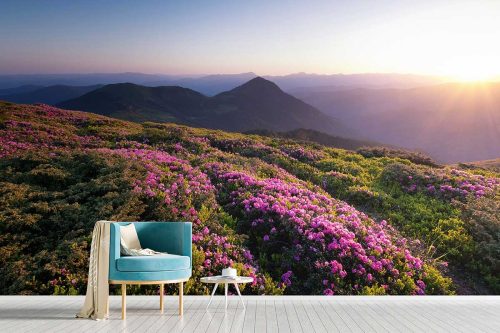 SMP-Scenery-065