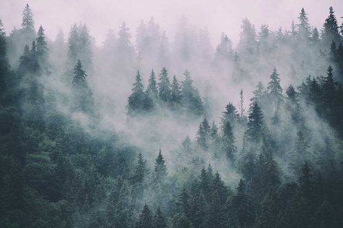 SMP-Scenery-091